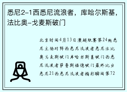 悉尼2-1西悉尼流浪者，库哈尔斯基，法比奥-戈麦斯破门